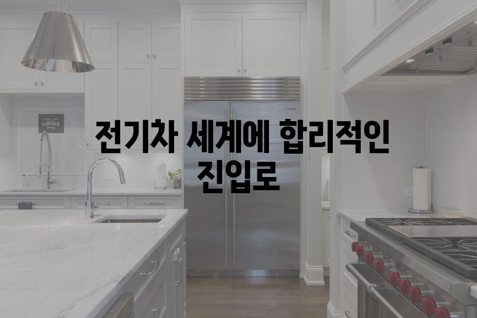  전기차 세계에 합리적인 진입로