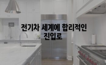 테슬라 모델 Y RWD| 가성비 최고의 전기차 가이드