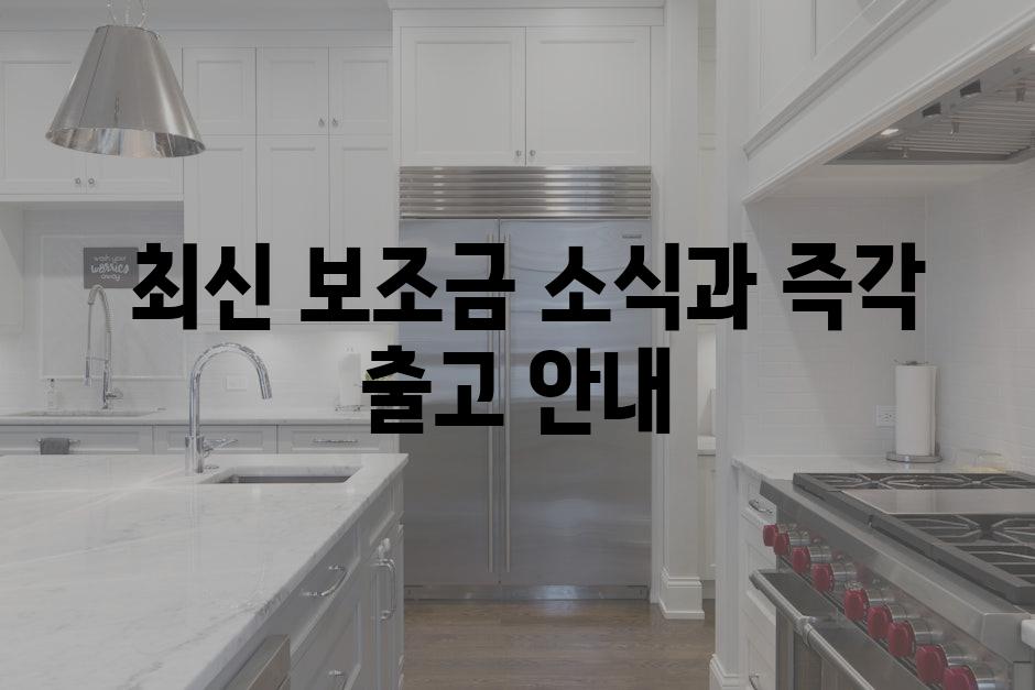  최신 보조금 소식과 즉각 출고 안내