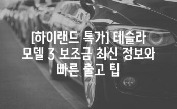 [하이랜드 특가] 테슬라 모델 3 보조금 최신 정보와 빠른 출고 팁