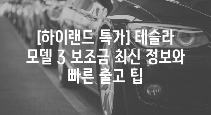 [하이랜드 특가] 테슬라 모델 3 보조금 최신 정보와 빠른 출고 팁