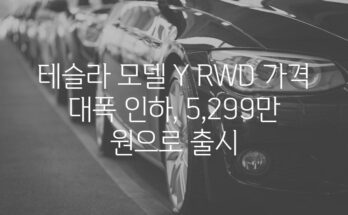 테슬라 모델 Y RWD 가격 대폭 인하, 5,299만 원으로 출시