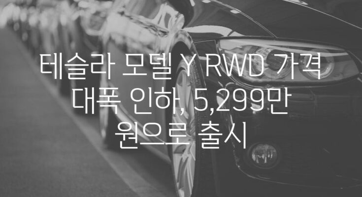 테슬라 모델 Y RWD 가격 대폭 인하, 5,299만 원으로 출시