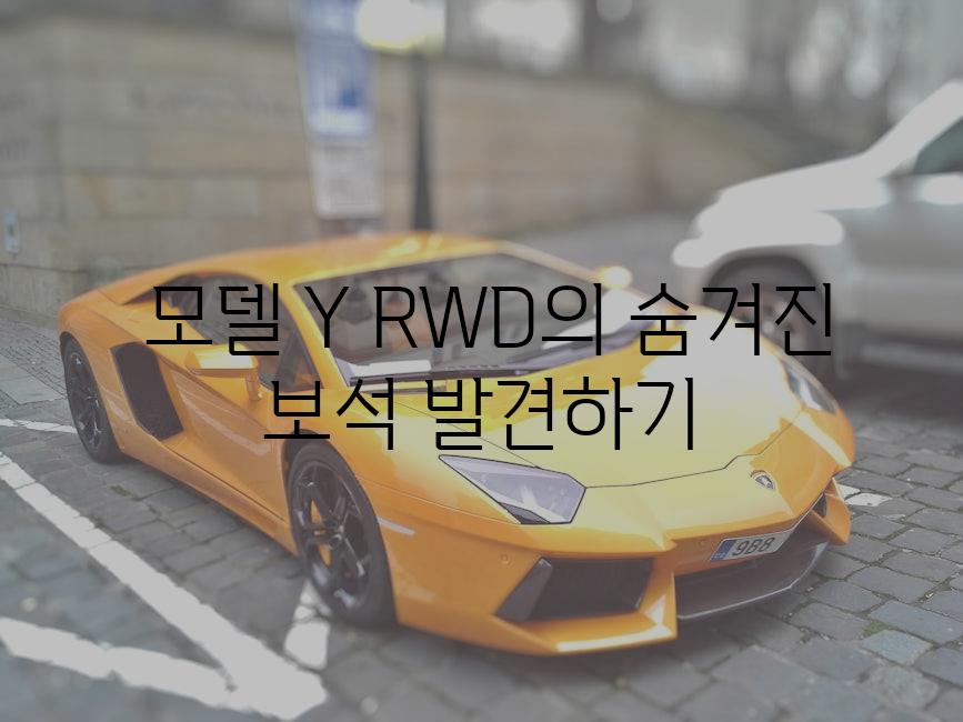  모델 Y RWD의 숨겨진 보석 발견하기