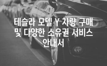 테슬라 모델 Y 차량 구매 및 다양한 소유권 서비스 안내서