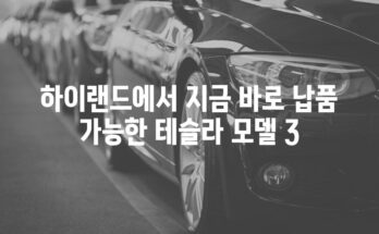 하이랜드에서 지금 바로 납품 가능한 테슬라 모델 3