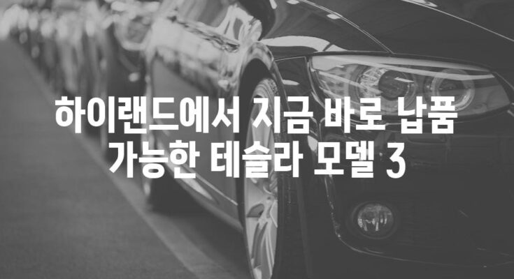 하이랜드에서 지금 바로 납품 가능한 테슬라 모델 3