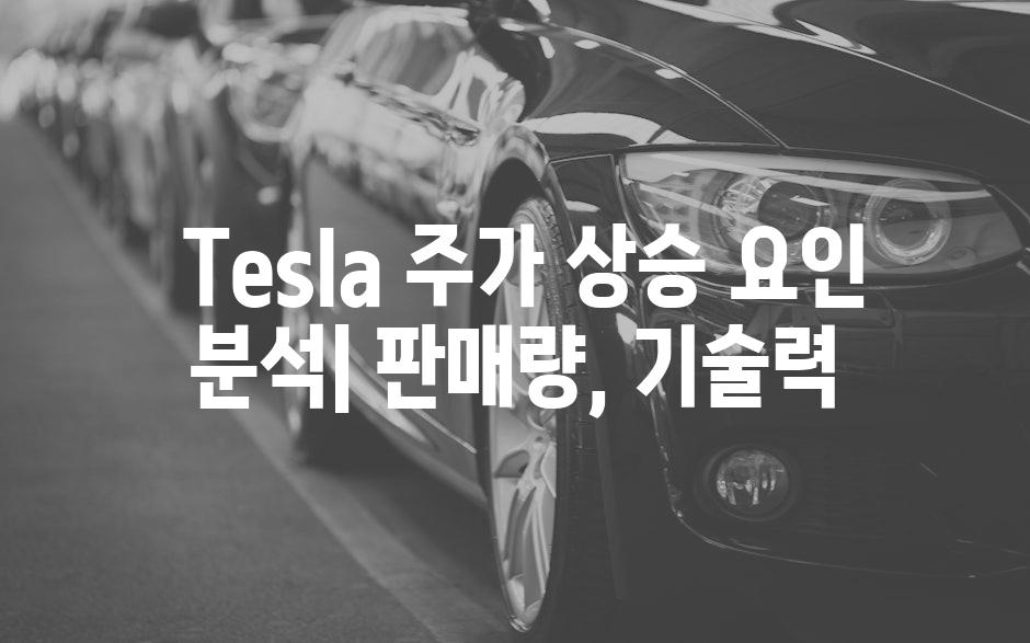  Tesla 주가 상승 요인 분석| 판매량, 기술력