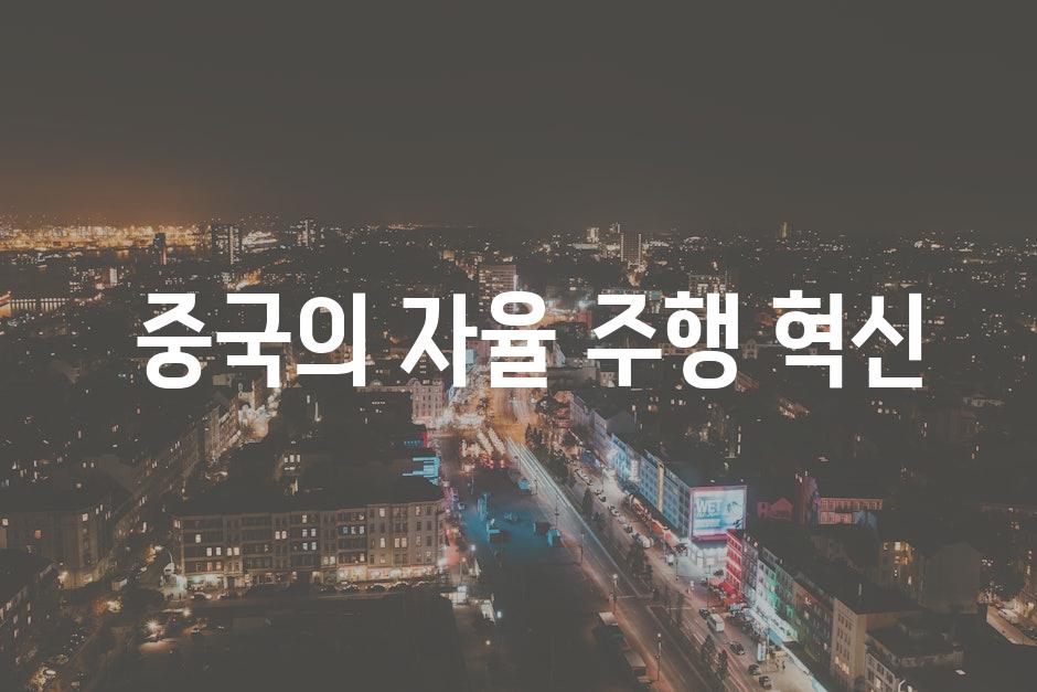  중국의 자율 주행 혁신