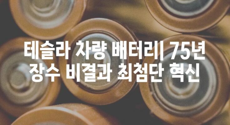 테슬라 차량 배터리| 75년 장수 비결과 최첨단 혁신