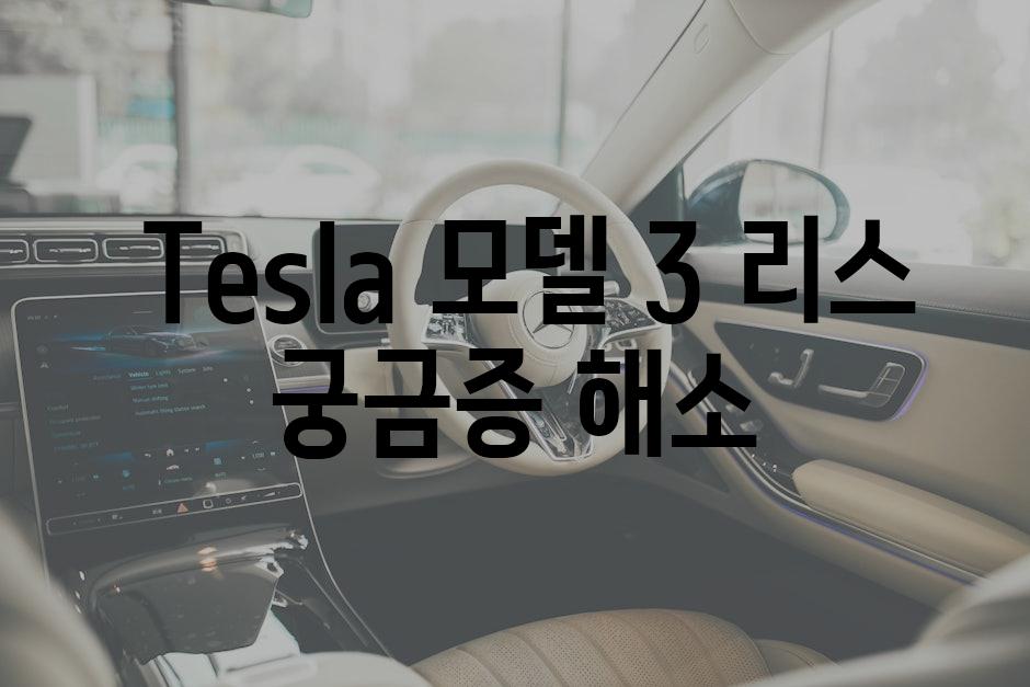  Tesla 모델 3 리스 궁금증 해소