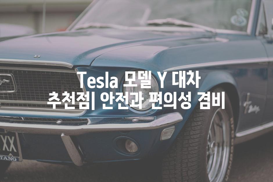 Tesla 모델 Y 대차 추천점| 안전과 편의성 겸비