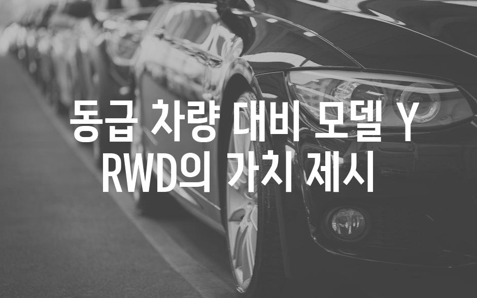  동급 차량 대비 모델 Y RWD의 가치 제시