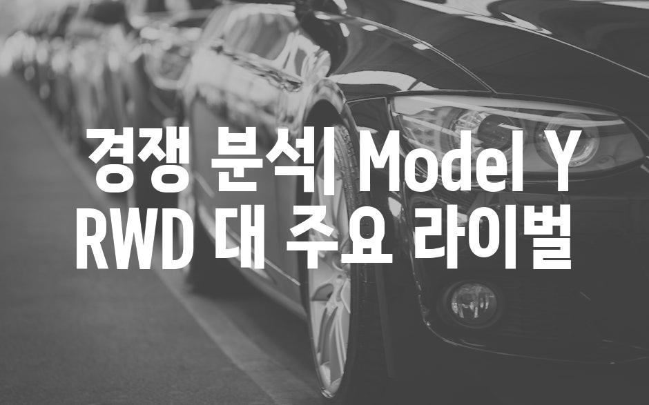  경쟁 분석| Model Y RWD 대 주요 라이벌