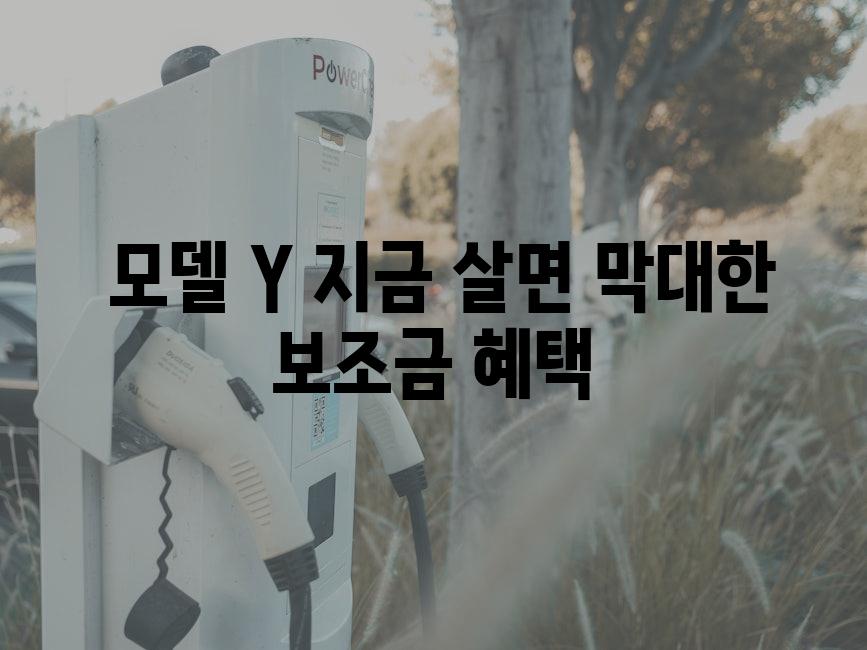  모델 Y 지금 살면 막대한 보조금 혜택