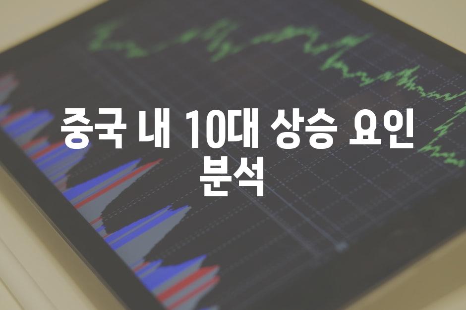  중국 내 10대 상승 요인 분석