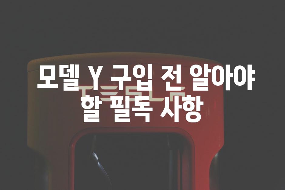  모델 Y 구입 전 알아야 할 필독 사항