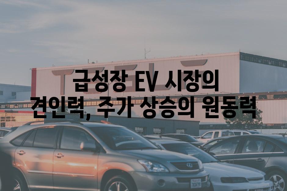  급성장 EV 시장의 견인력, 주가 상승의 원동력