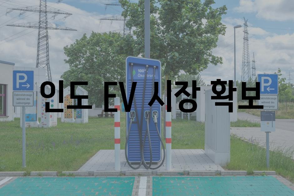 인도 EV 시장 확보