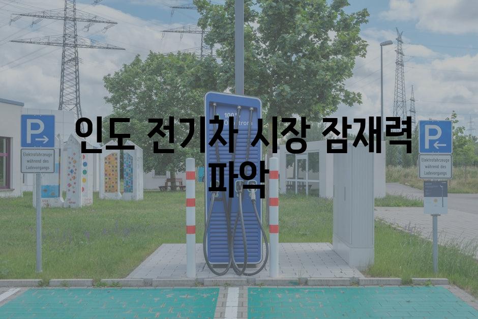  인도 전기차 시장 잠재력 파악