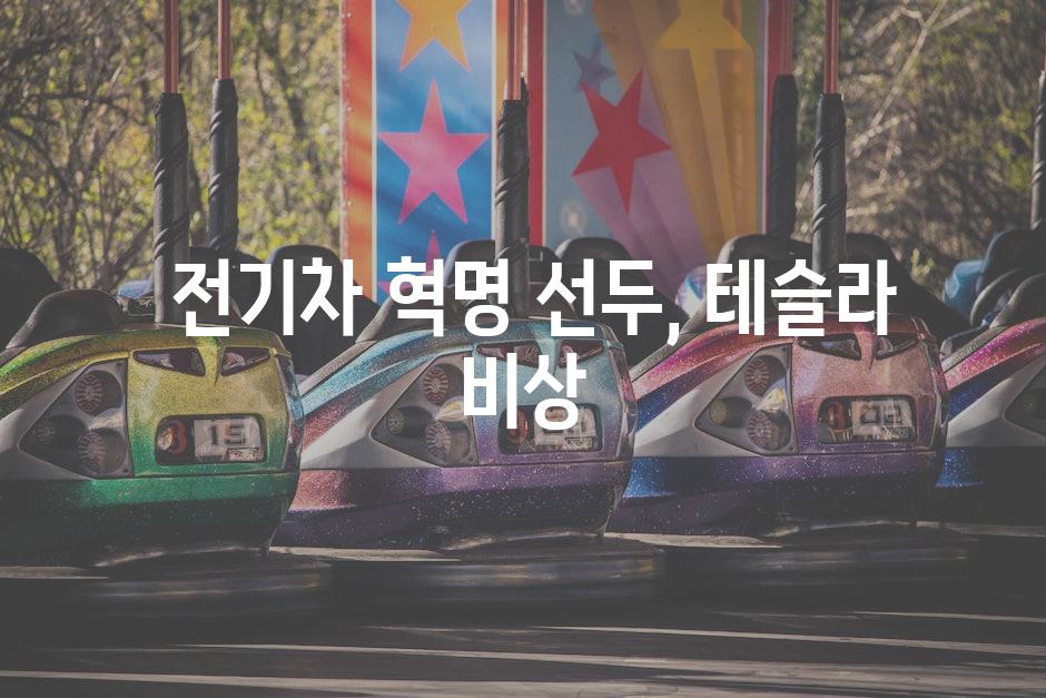  전기차 혁명 선두, 테슬라 비상