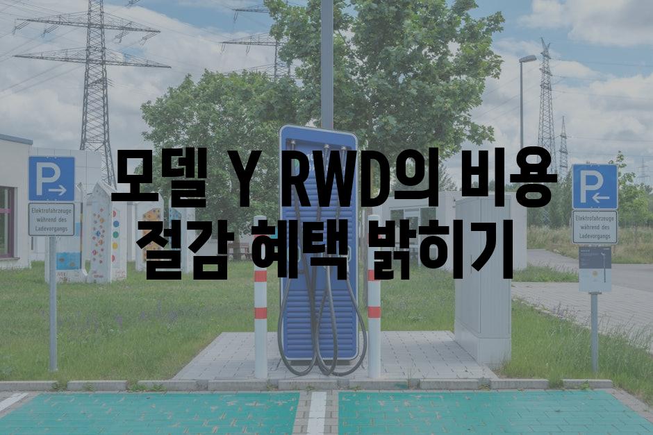  모델 Y RWD의 비용 절감 혜택 밝히기