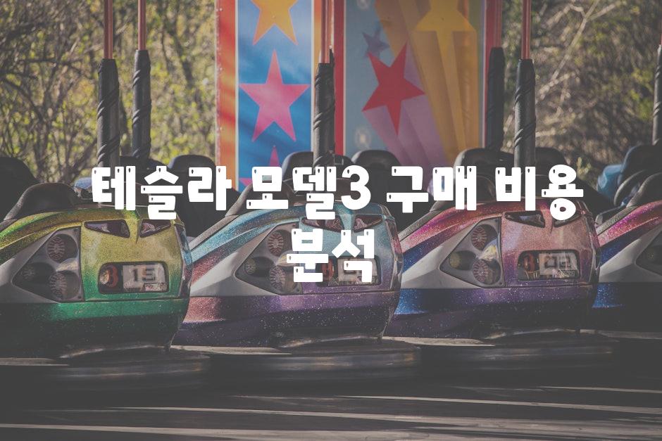  테슬라 모델3 구매 비용 분석