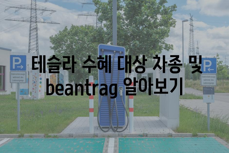  테슬라 수혜 대상 차종 및 beantrag 알아보기