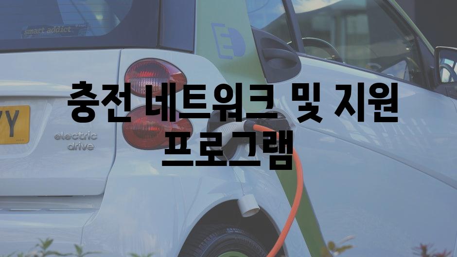  충전 네트워크 및 지원 프로그램