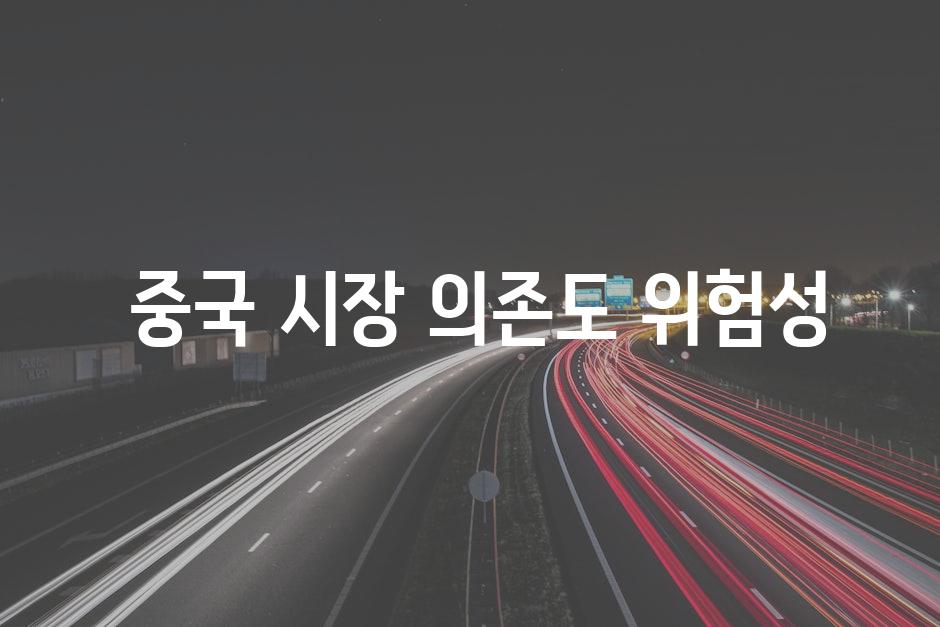  중국 시장 의존도 위험성