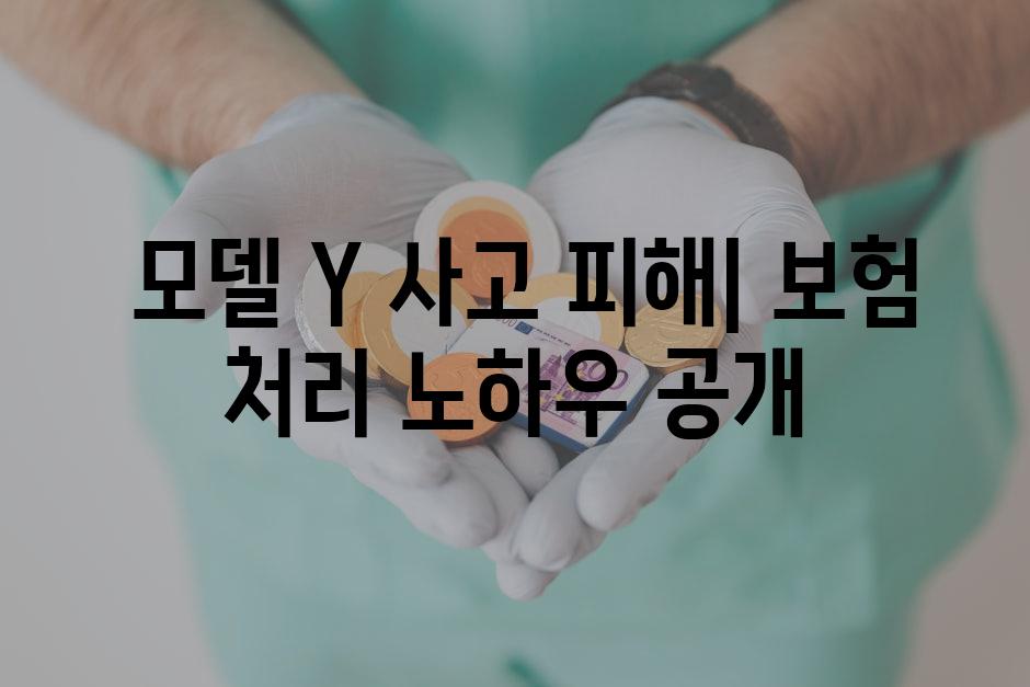  모델 Y 사고 피해| 보험 처리 노하우 공개