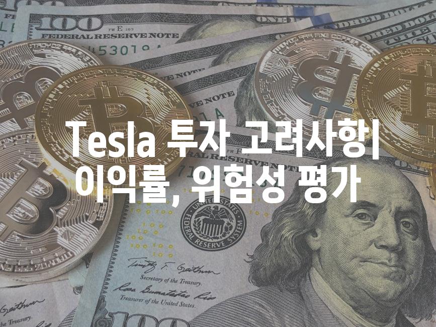  Tesla 투자 고려사항| 이익률, 위험성 평가