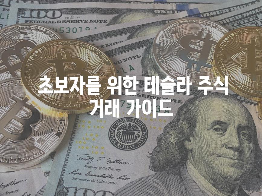  초보자를 위한 테슬라 주식 거래 가이드