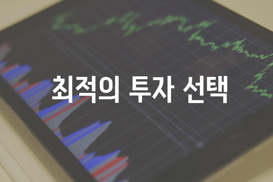  최적의 투자 선택