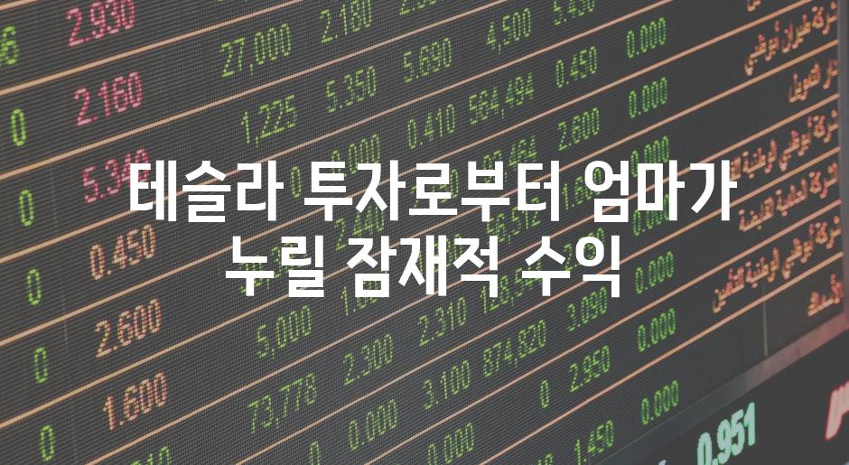  테슬라 투자로부터 엄마가 누릴 잠재적 수익