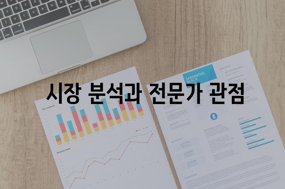  시장 분석과 전문가 관점