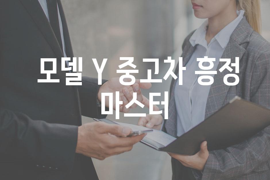  모델 Y 중고차 흥정 마스터