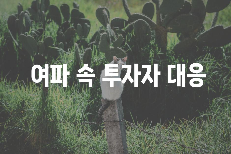  여파 속 투자자 대응