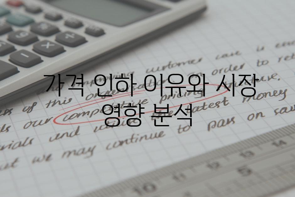  가격 인하 이유와 시장 영향 분석