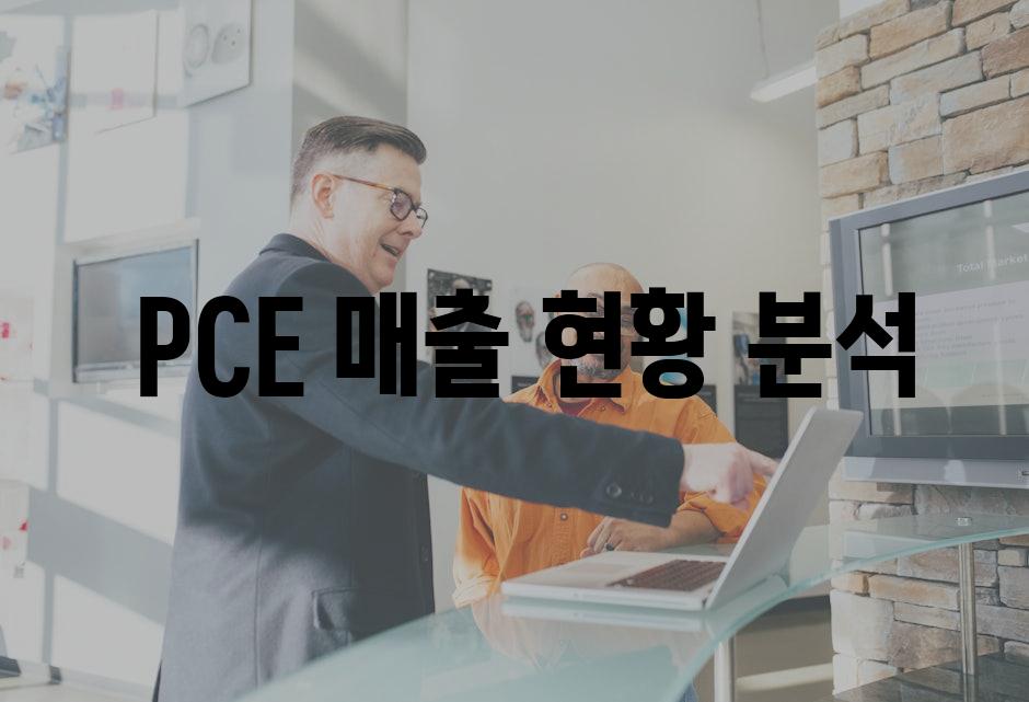  PCE 매출 현황 분석