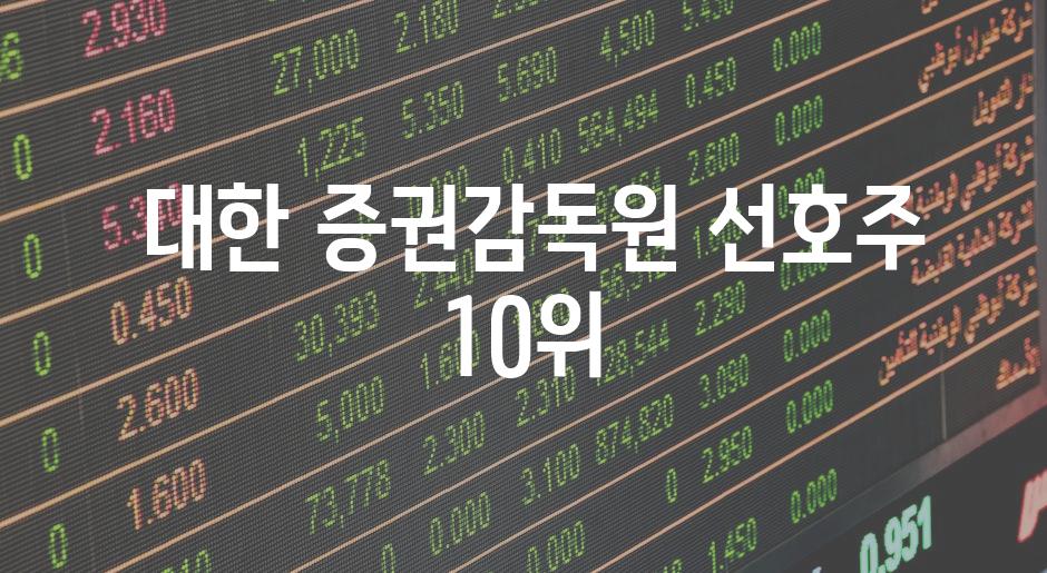  대한 증권감독원 선호주 10위