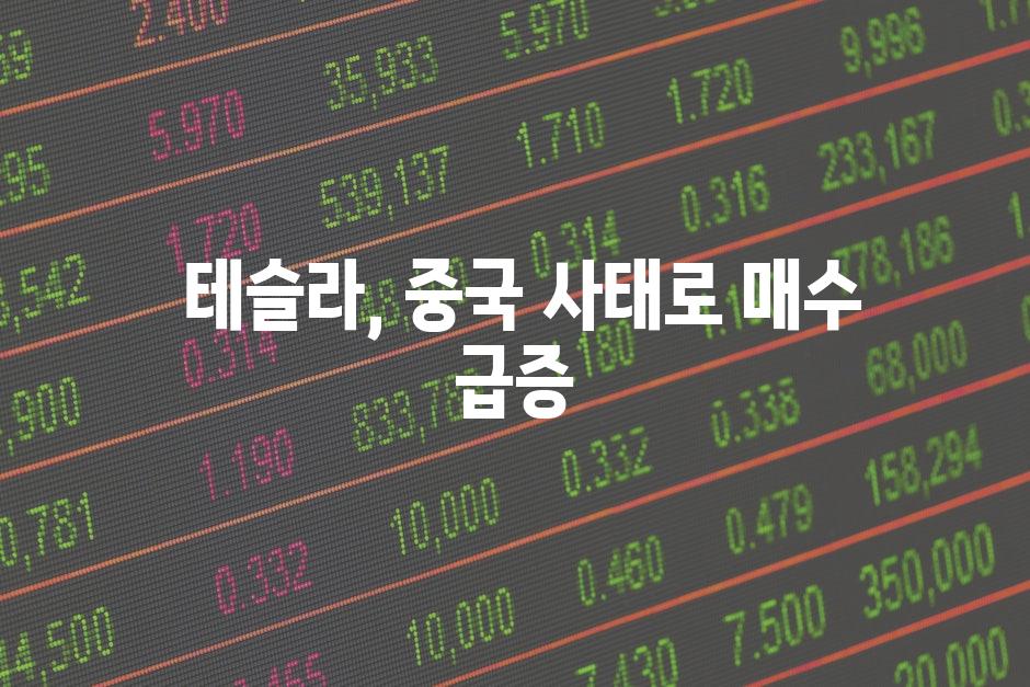  테슬라, 중국 사태로 매수 급증