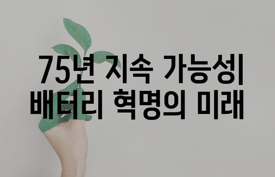  75년 지속 가능성| 배터리 혁명의 미래