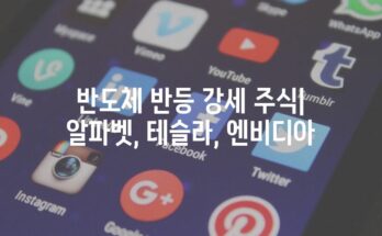 반도체 반등 강세 주식| 알파벳, 테슬라, 엔비디아