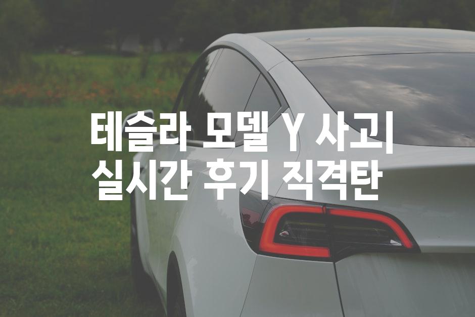  테슬라 모델 Y 사고| 실시간 후기 직격탄