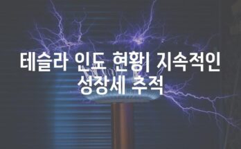 테슬라 인도 현황| 지속적인 성장세 추적