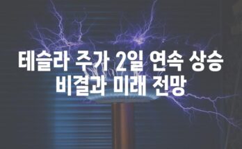 테슬라 주가 2일 연속 상승 비결과 미래 전망