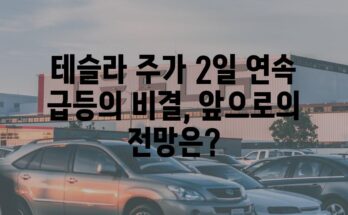 테슬라 주가 2일 연속 급등의 비결, 앞으로의 전망은?