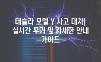 테슬라 모델 Y 사고 대차| 실시간 후기 및 자세한 안내 가이드