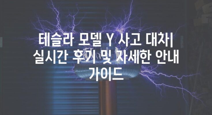 테슬라 모델 Y 사고 대차| 실시간 후기 및 자세한 안내 가이드